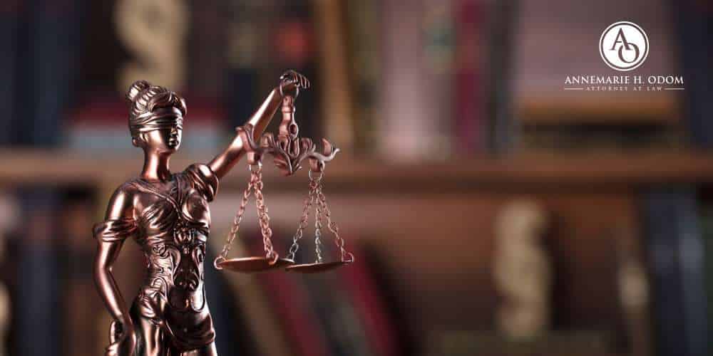 Professional License Defense Attorney in South Carolina