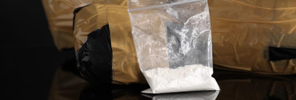 SC Drug Manufacturing Charges