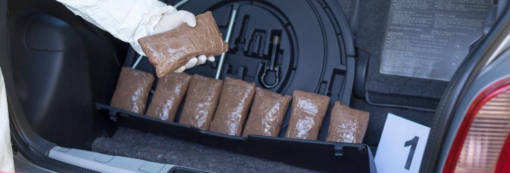 SC Drug Trafficking Charges